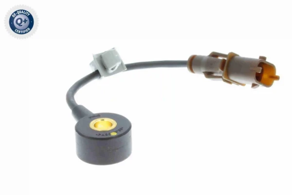 V40720585 Vemo