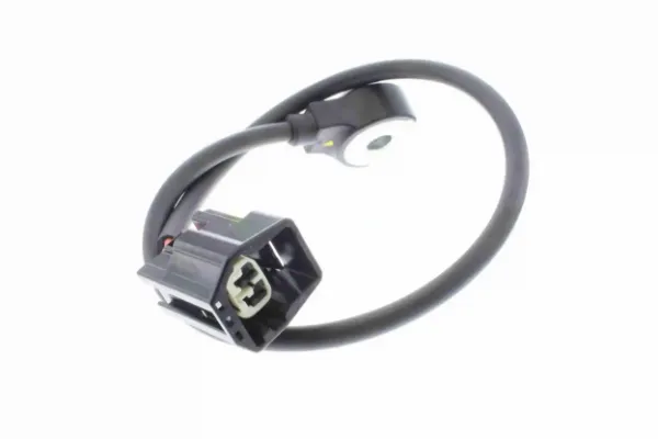 V25721070 Vemo