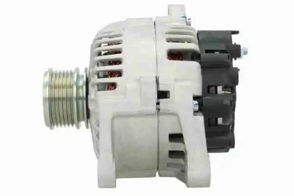 V461350009 Vemo
