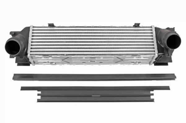 V20601555 Vemo