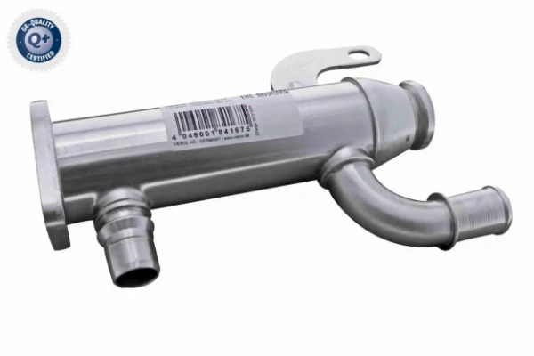 V25630038 Vemo