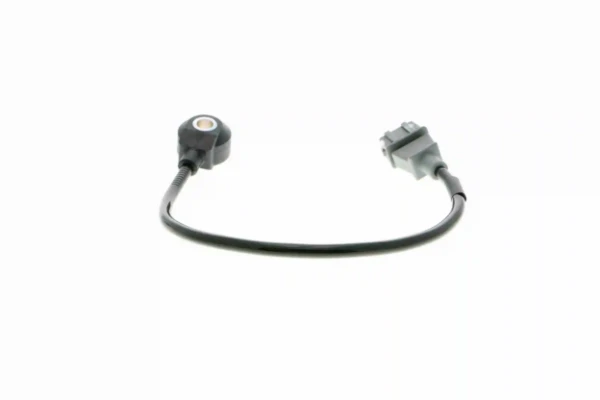 V51720001 Vemo