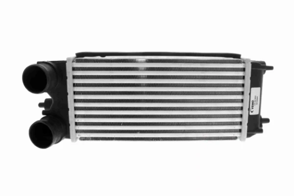 V25600062 Vemo
