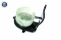 V46031376 Vemo