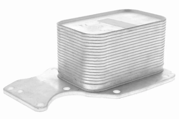 V20600055 Vemo