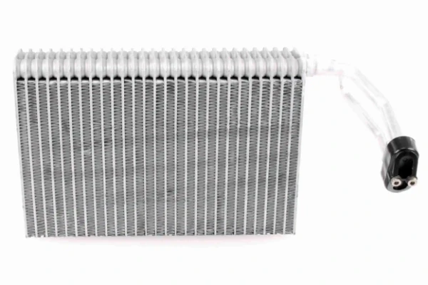 V30650021 Vemo
