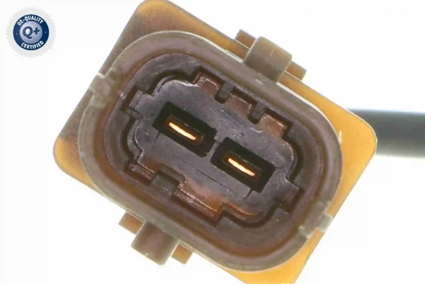 V40720585 Vemo
