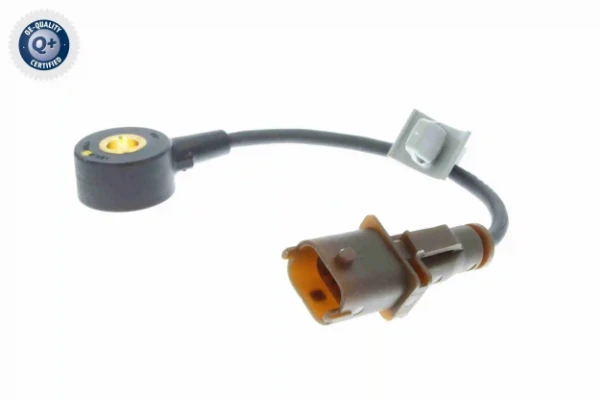 V40720585 Vemo