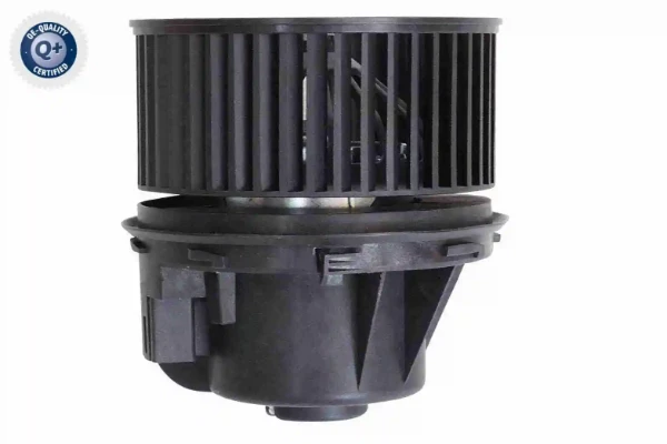 V25031640 Vemo