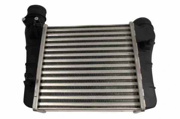 V10600003 Vemo