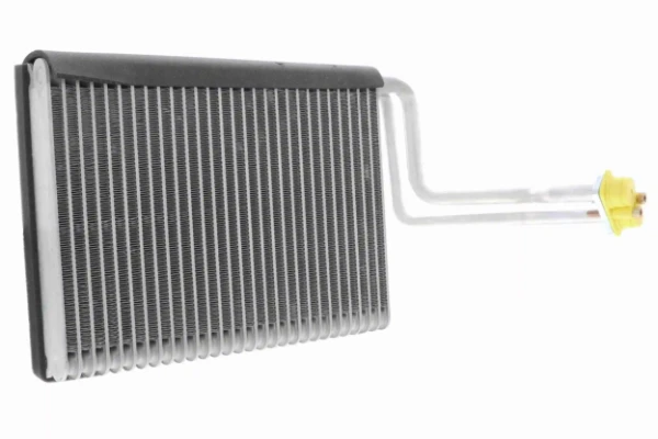 V20650016 Vemo
