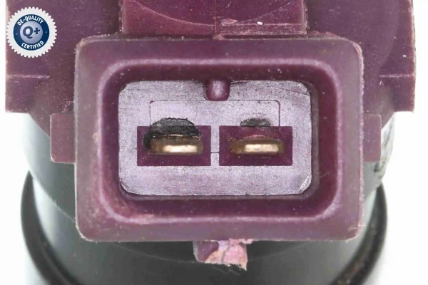 V46110003 Vemo