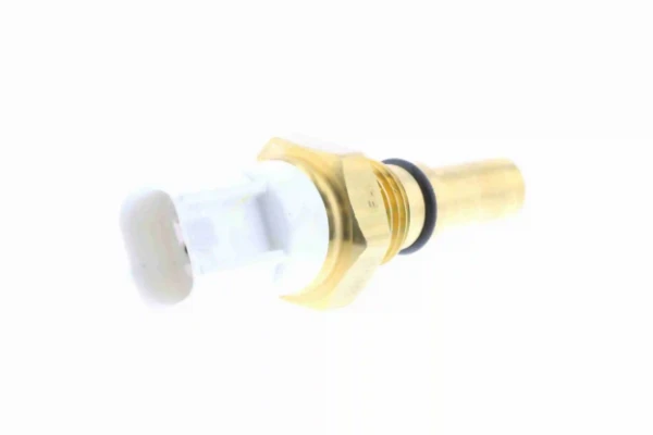 V70990028 Vemo