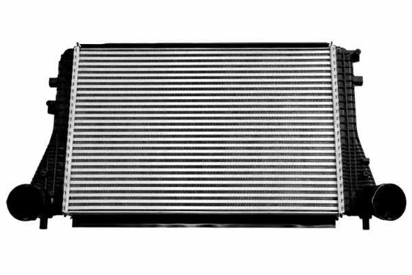 V15606047 Vemo