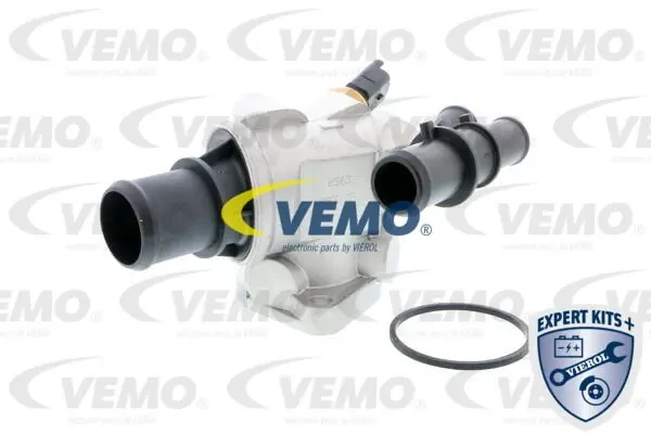 V24990029 Vemo