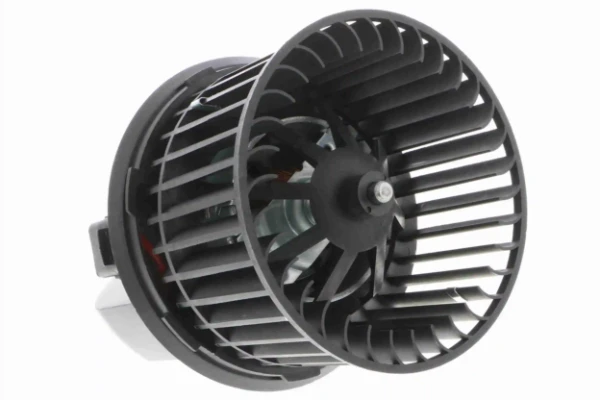 V25031625 Vemo