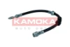 1170224 Kamoka