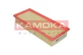 F202401 Kamoka