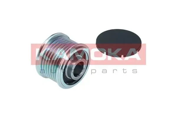 Polea alternador BMW X6 E71