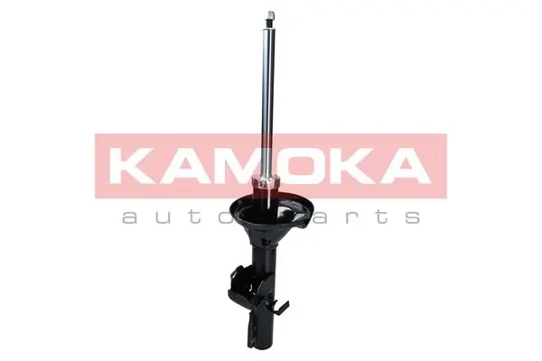 2000366 Kamoka