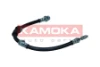 1170224 Kamoka