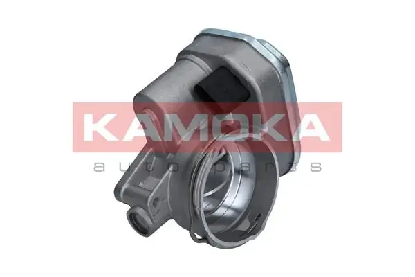 Cuerpo de mariposa 112002 Kamoka