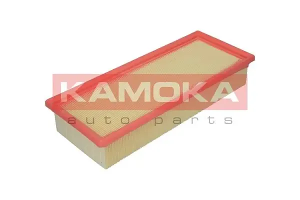 F202401 Kamoka