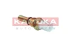 4090018 Kamoka