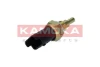 4080043 Kamoka