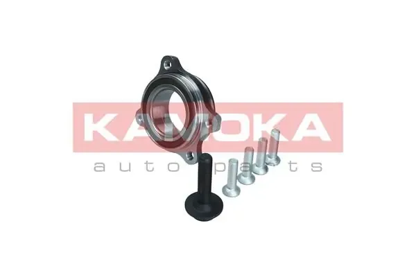 Cojinete de rueda delantero 5500174 Kamoka