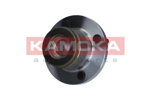 Cubo de rueda trasero 5500135 Kamoka