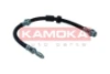 1170224 Kamoka