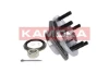 5500056 Kamoka