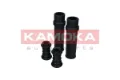 2019046 Kamoka