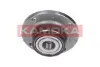 5500004 Kamoka