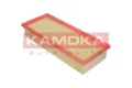 F202401 Kamoka
