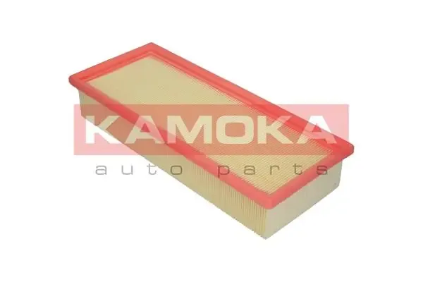 F202401 Kamoka