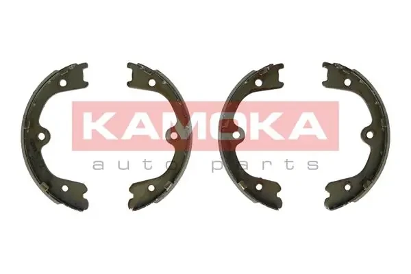 JQ212069 Kamoka