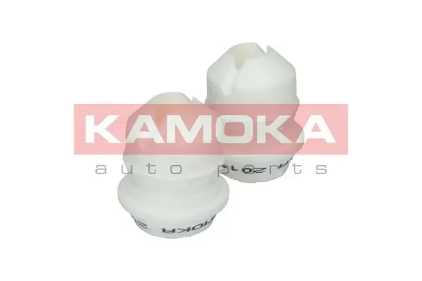 2019029 Kamoka