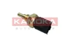 4080043 Kamoka