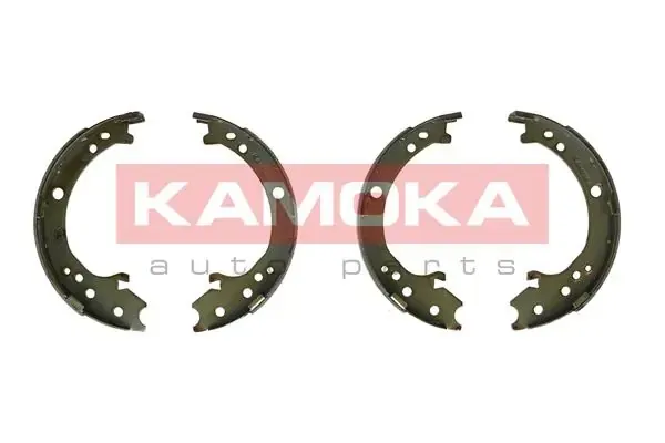 JQ212060 Kamoka