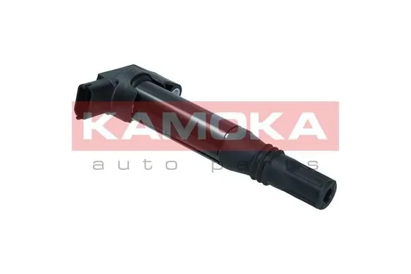 7120019 Kamoka