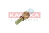 4090018 Kamoka