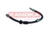1170224 Kamoka