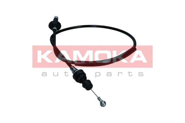 116008 Kamoka