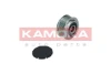 RC097 Kamoka