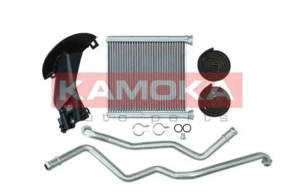 Polea de cigüeñal на BMW X2 (F39)