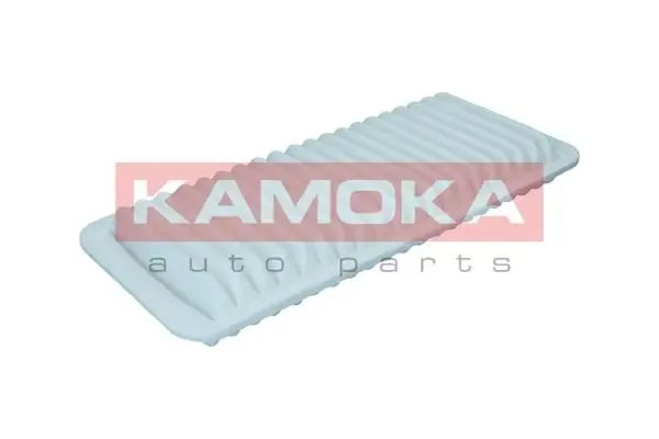 F260301 Kamoka