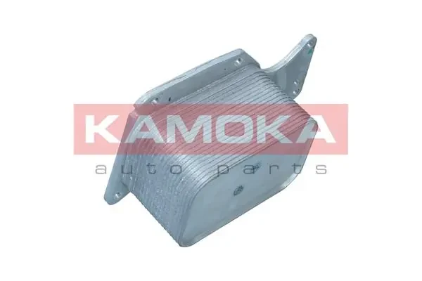 7730070 Kamoka