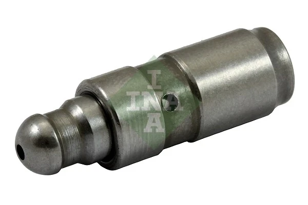420018610 INA